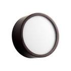 Peepers Flush Mount