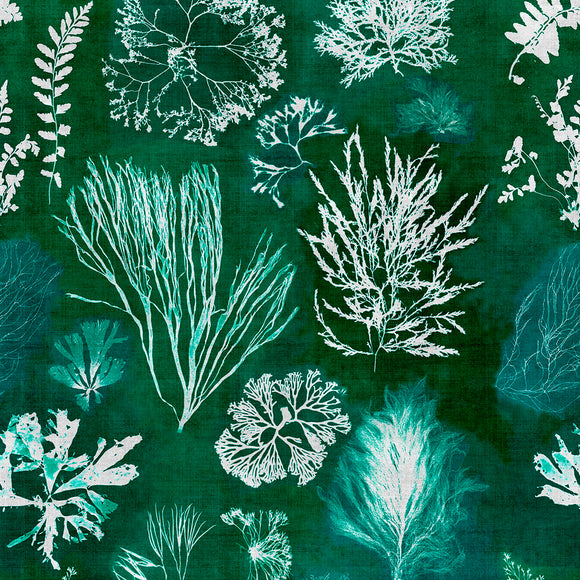 Algae Wallpaper Sample Swatch