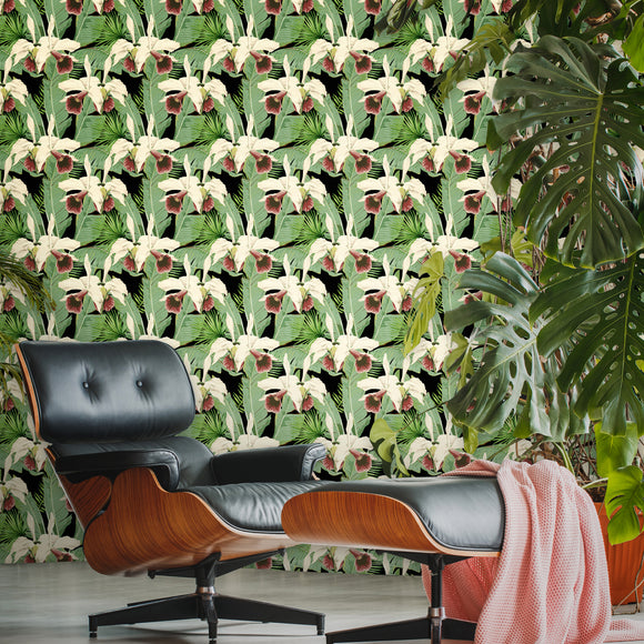 PARROTS OF BRASIL Anthracite Wallpaper - The Wallpaper Compendium -  Designer Collection - Wallpaper - Products