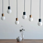 Catkin LED Pendant Light