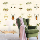 Entomology Wallpaper