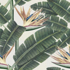 Tropical Bloom Wallpaper Sample Swatch