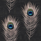Peacock Wallpaper Sample Swatch