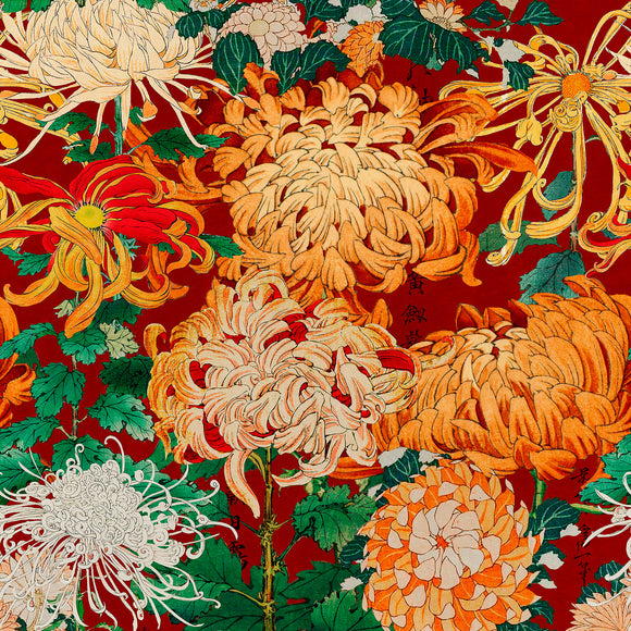 Chrysanthemums Wallpaper Sample Swatch