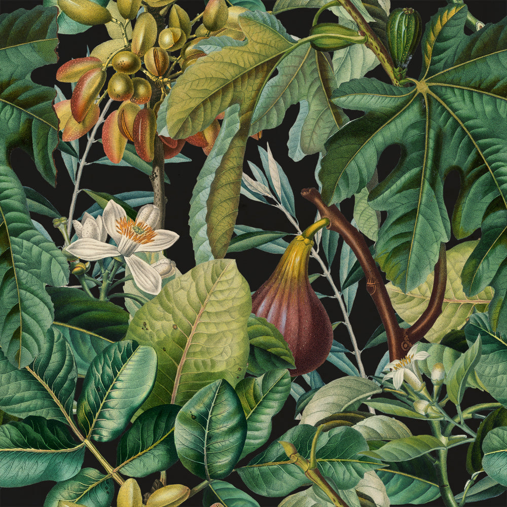 Figs And Dates Wallpaper Sample Swatch