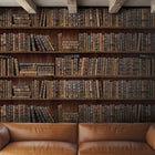 Book Shelves Wallpaper