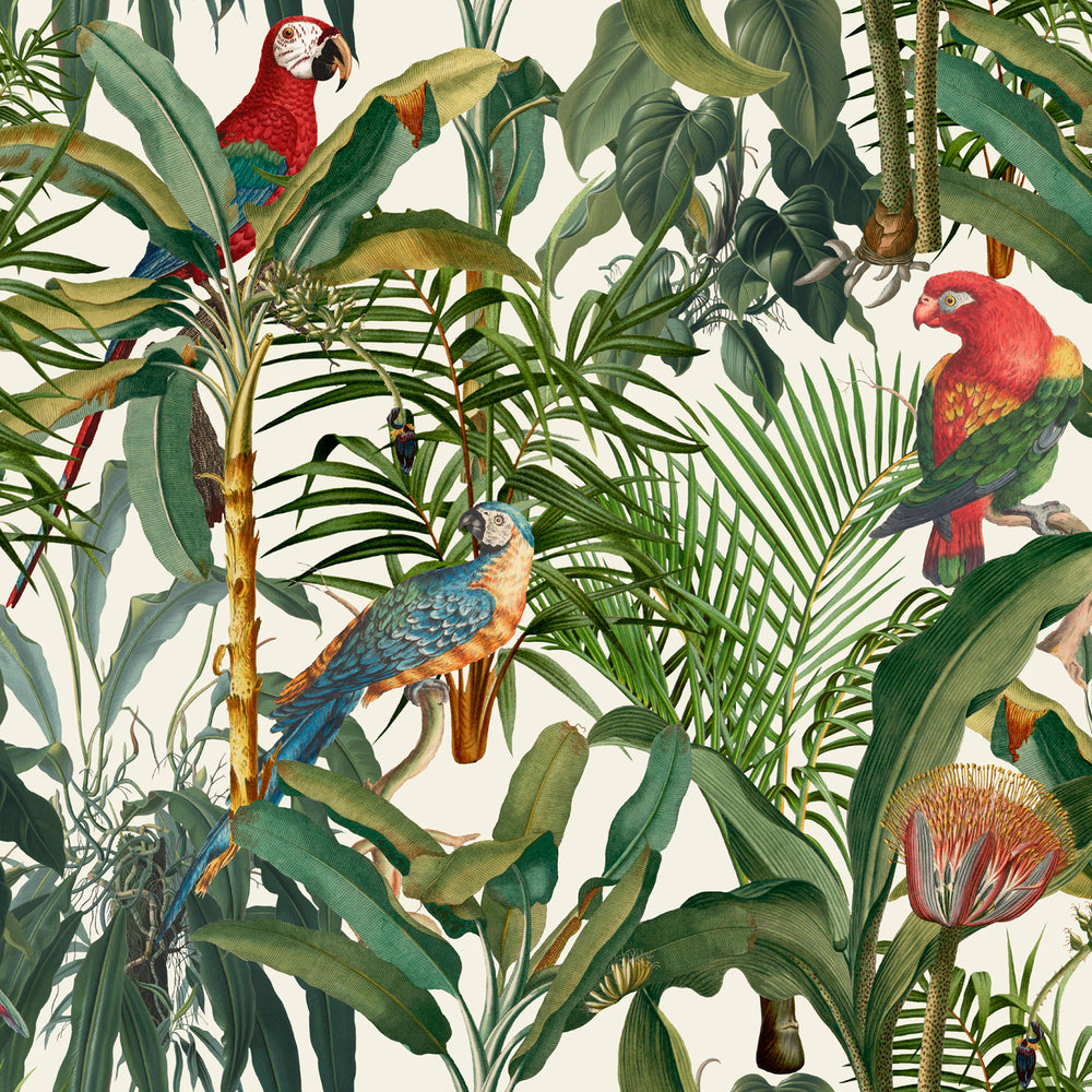 Parrots of Brasil Wallpaper Sample Swatch