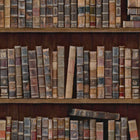 Book Shelves Wallpaper Sample Swatch