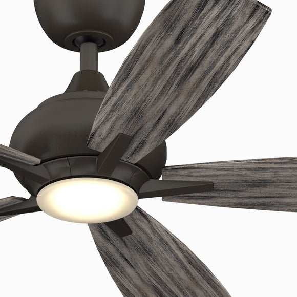 Doren Ceiling Fan with Light