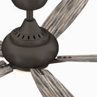 Doren Ceiling Fan with Light
