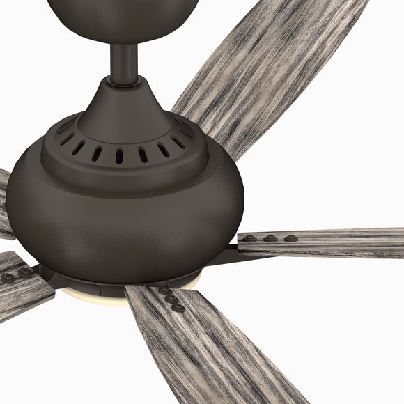 Doren Ceiling Fan with Light