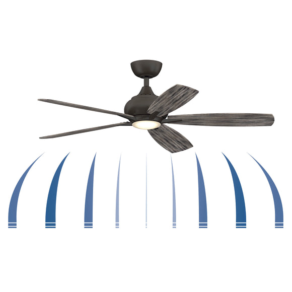 Doren Ceiling Fan with Light