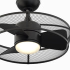 Henry Ceiling Fan with Light