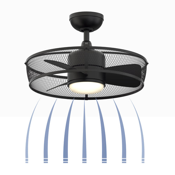 Henry Ceiling Fan with Light