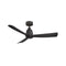 Kute Outdoor Ceiling Fan  option Black with Black Blades