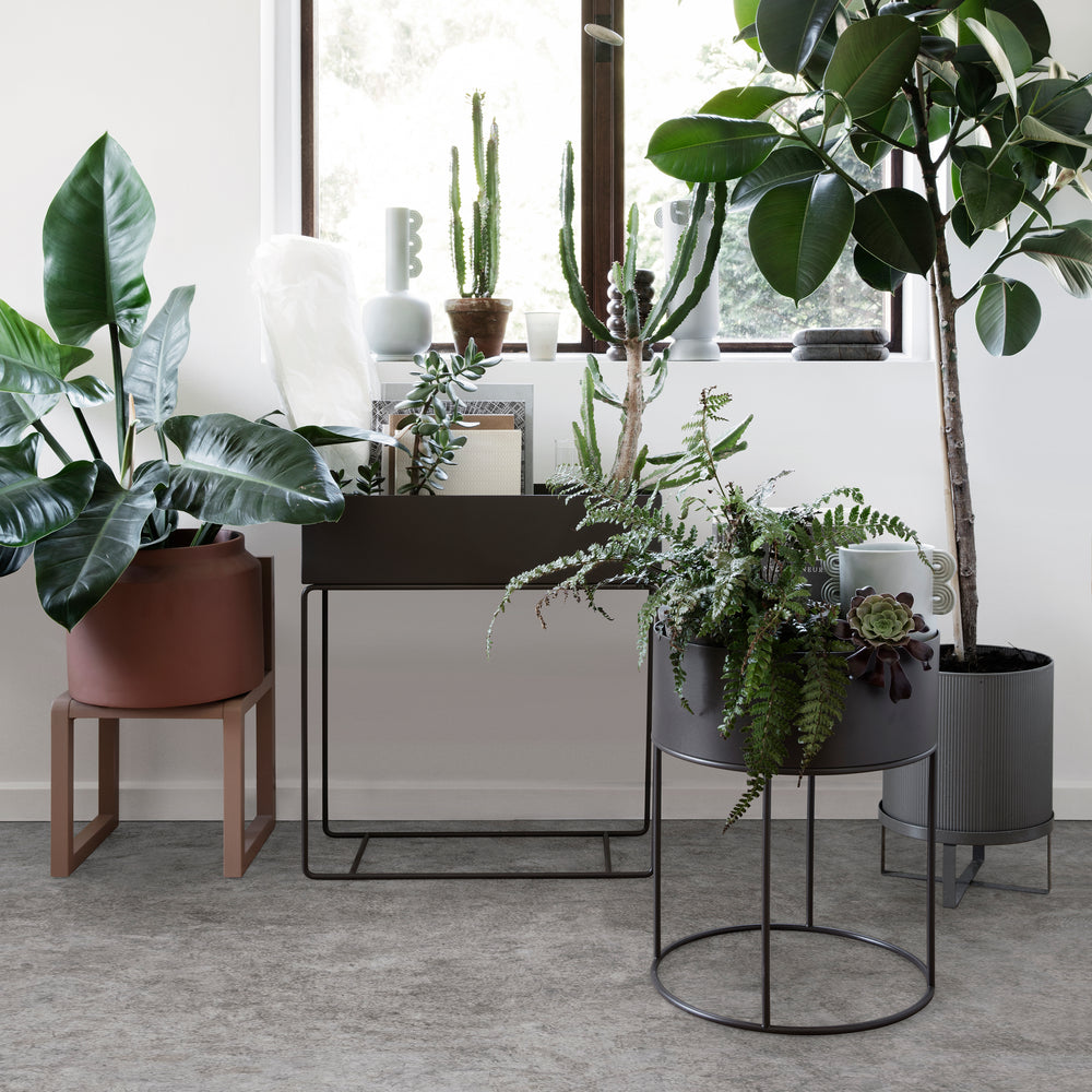 Round Plant Box
