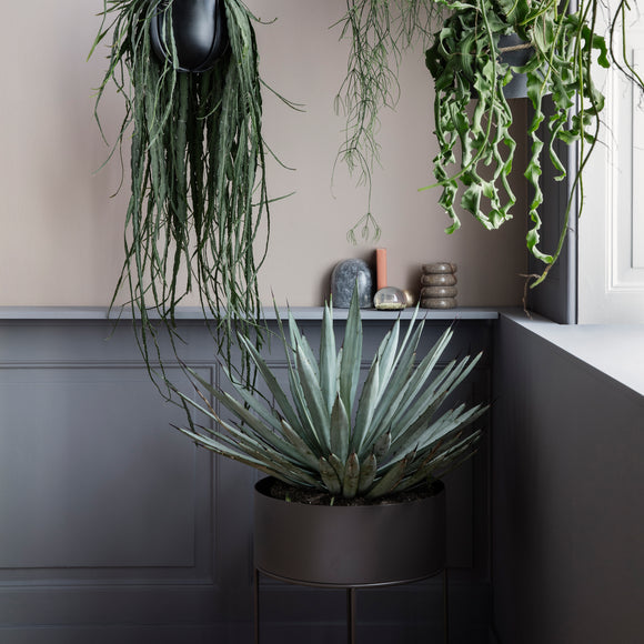 amazon hanging planter boxes Ferm Living Round Plant Box