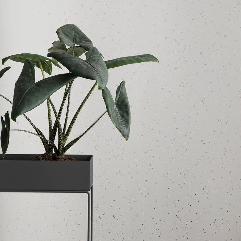 Plant Box