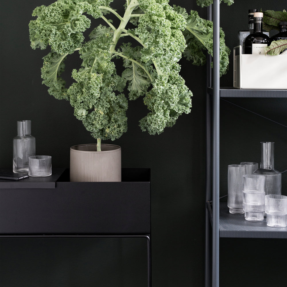 Plant Box