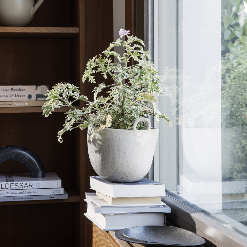 Speckle Pot
