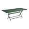 Caractere Rectangle Dining Table  option Cedar Green (Textured)