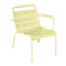 Luxembourg Lounge Armchair (Set of 2)  option Frosted Lemon (Textured)