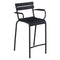 Luxembourg Stool with Arms (Set of 2)  option Anthracite (Speckled Textured)