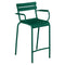 Luxembourg Stool with Arms (Set of 2)  option Cedar Green (Textured)