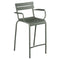 Luxembourg Stool with Arms (Set of 2)  option Rosemary (Textured)