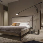 265 Wall/Ceiling Light