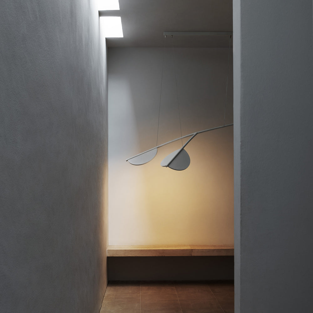 Almendra Organic Pendant Light