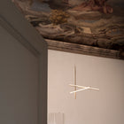 Coordinates Suspension Light