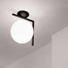 IC Lights Wall / Ceiling Light