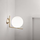 IC Lights Wall / Ceiling Light