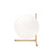 IC Lights Table Lamp  option T2 / Brass