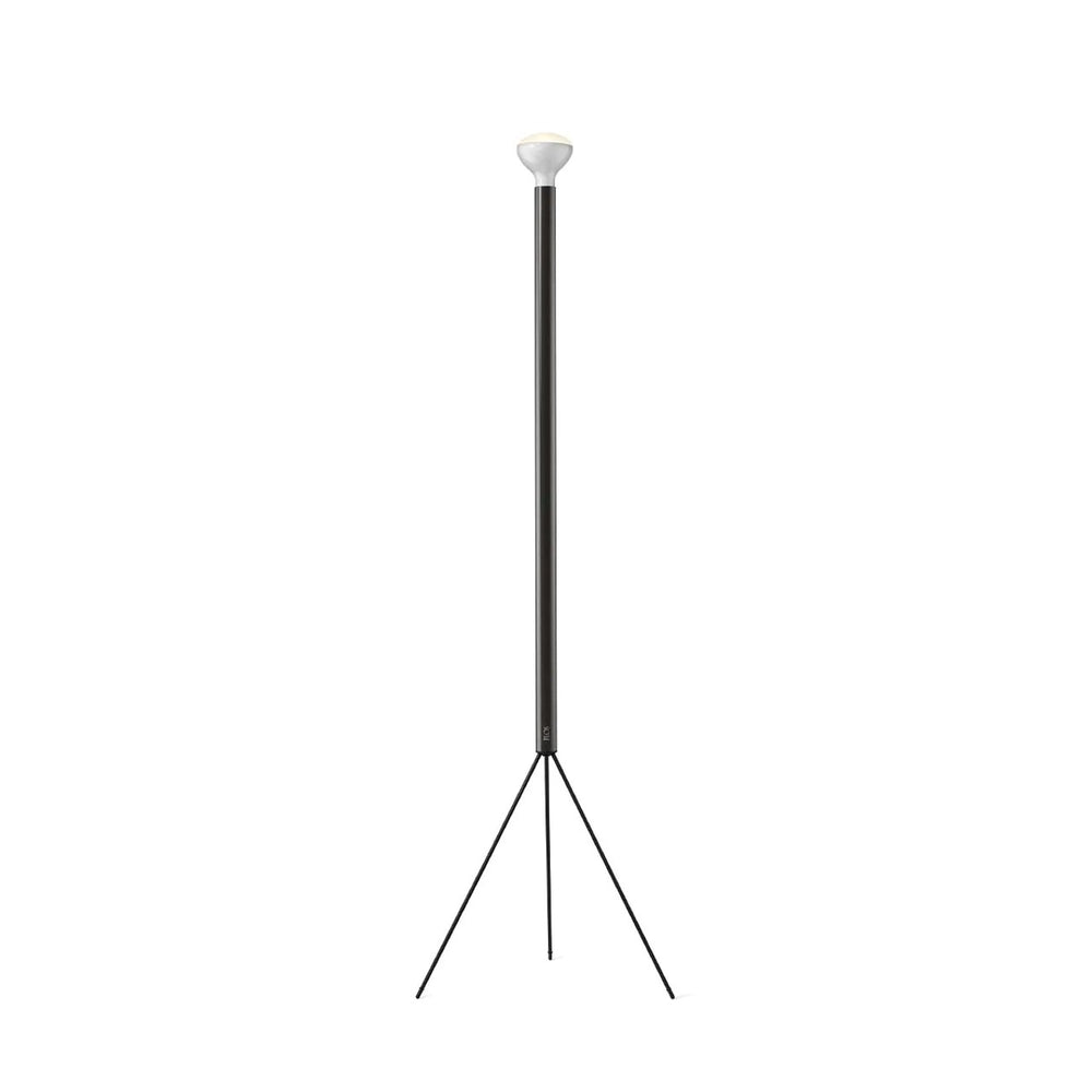 Luminator Floor Lamp