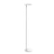 Oblique Floor Lamp  option White