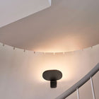 Oplight Wall Sconce