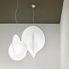 Overlap Pendant Light