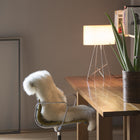 Ray Table Lamp