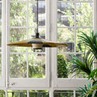 Parrot Pendant Light