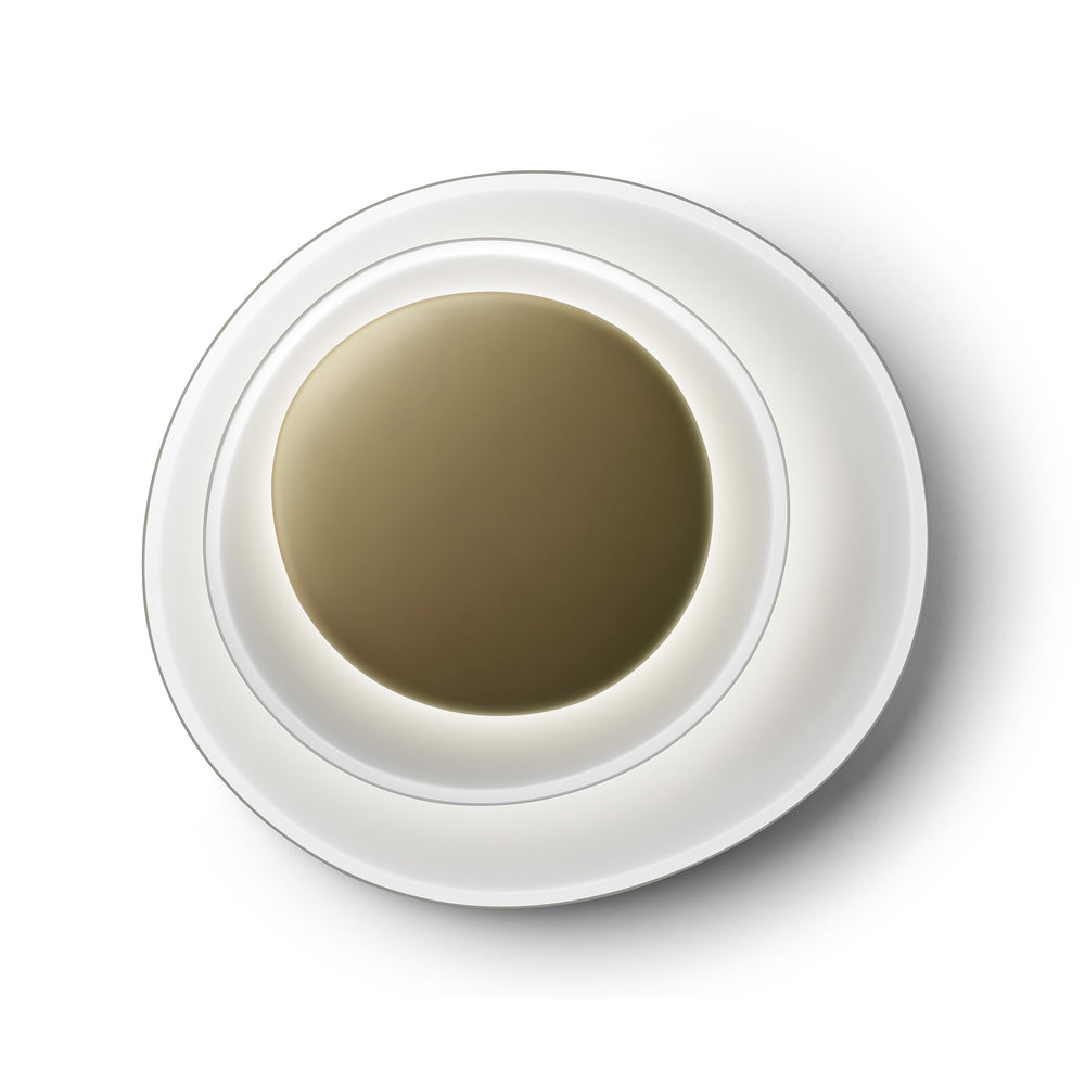 Bahia Wall or Ceiling Light