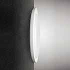 Bahia Wall or Ceiling Light