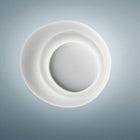 Bahia Wall or Ceiling Light