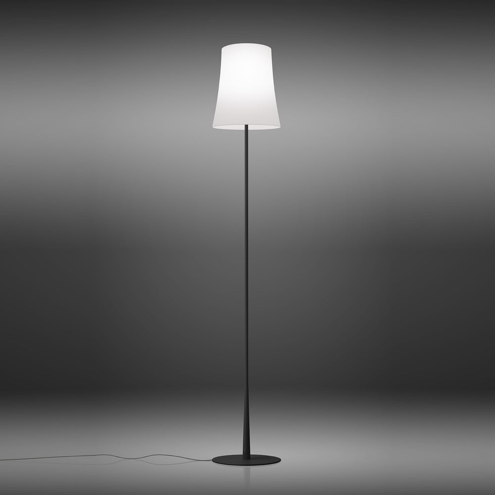 Birdie Easy Lettura Floor Lamp
