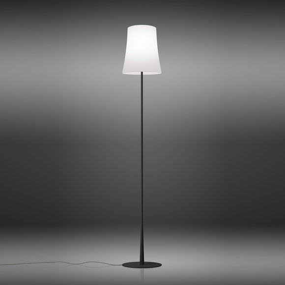 Birdie Easy Lettura Floor Lamp