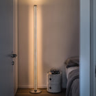 Chiaroscura Floor Lamp