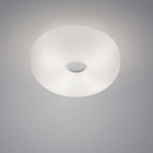 Circus Wall or Ceiling Light