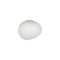 Gregg Wall/Ceiling Light  option White