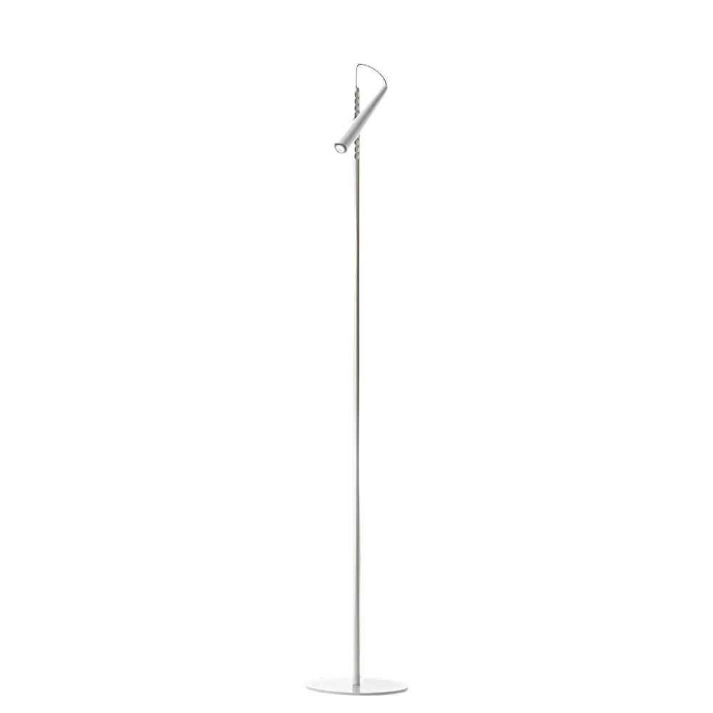 Magneto Floor Lamp
